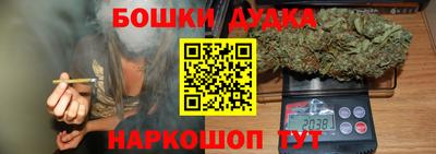 крисы Будённовск