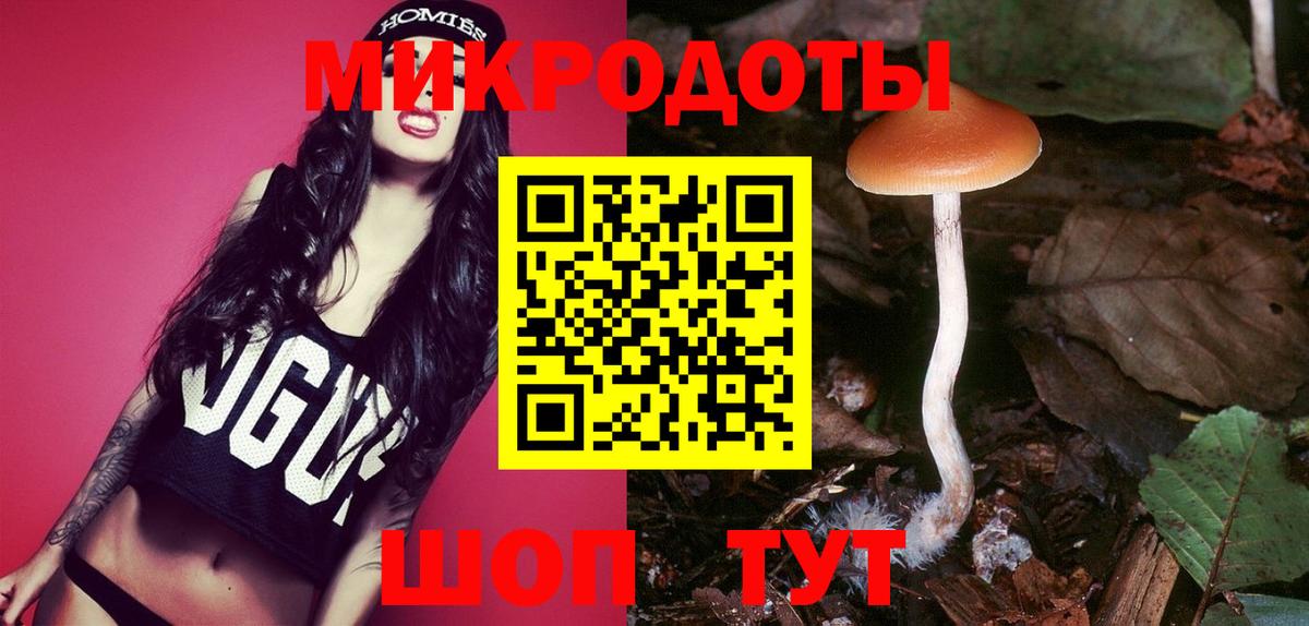 Псилоцибиновые грибы Cubensis Мичуринск